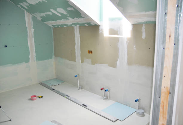 Best Asbestos and Lead Testing During Mold Inspection  in Lyons, NJ