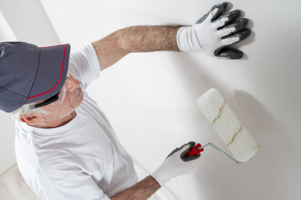 Trusted Lyons, NJ Mold Removal Experts